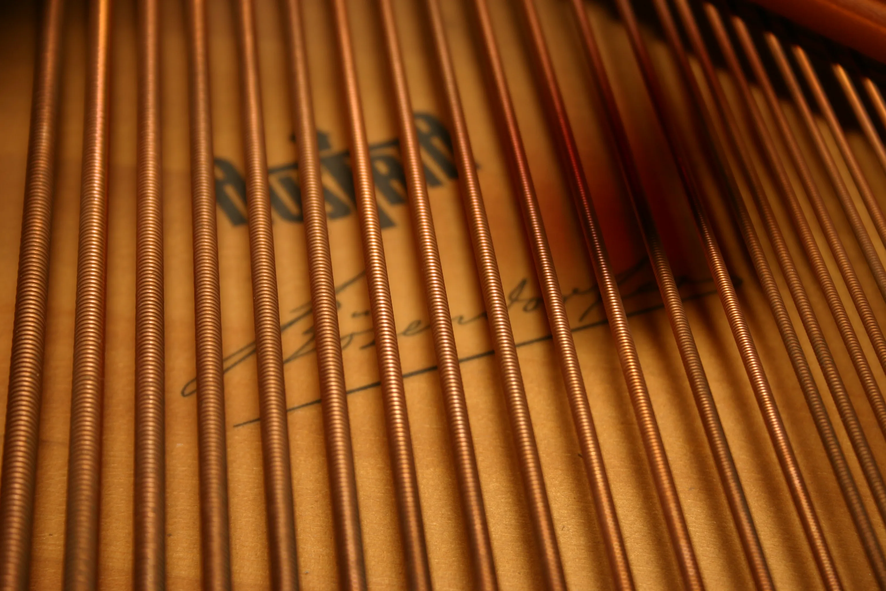 1910 Bösendorfer Model 200 — photo 7