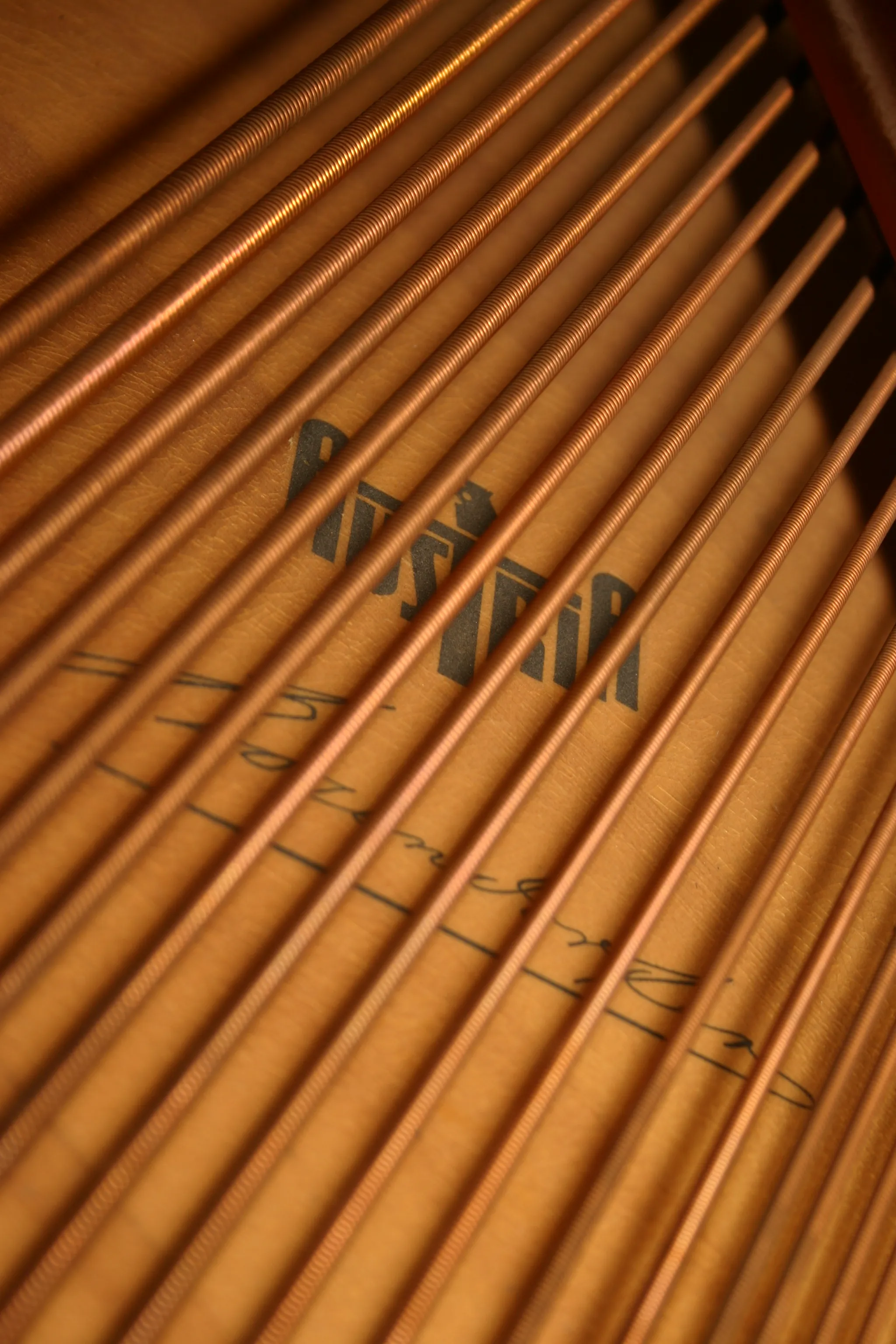 1910 Bösendorfer Model 200 — photo 8